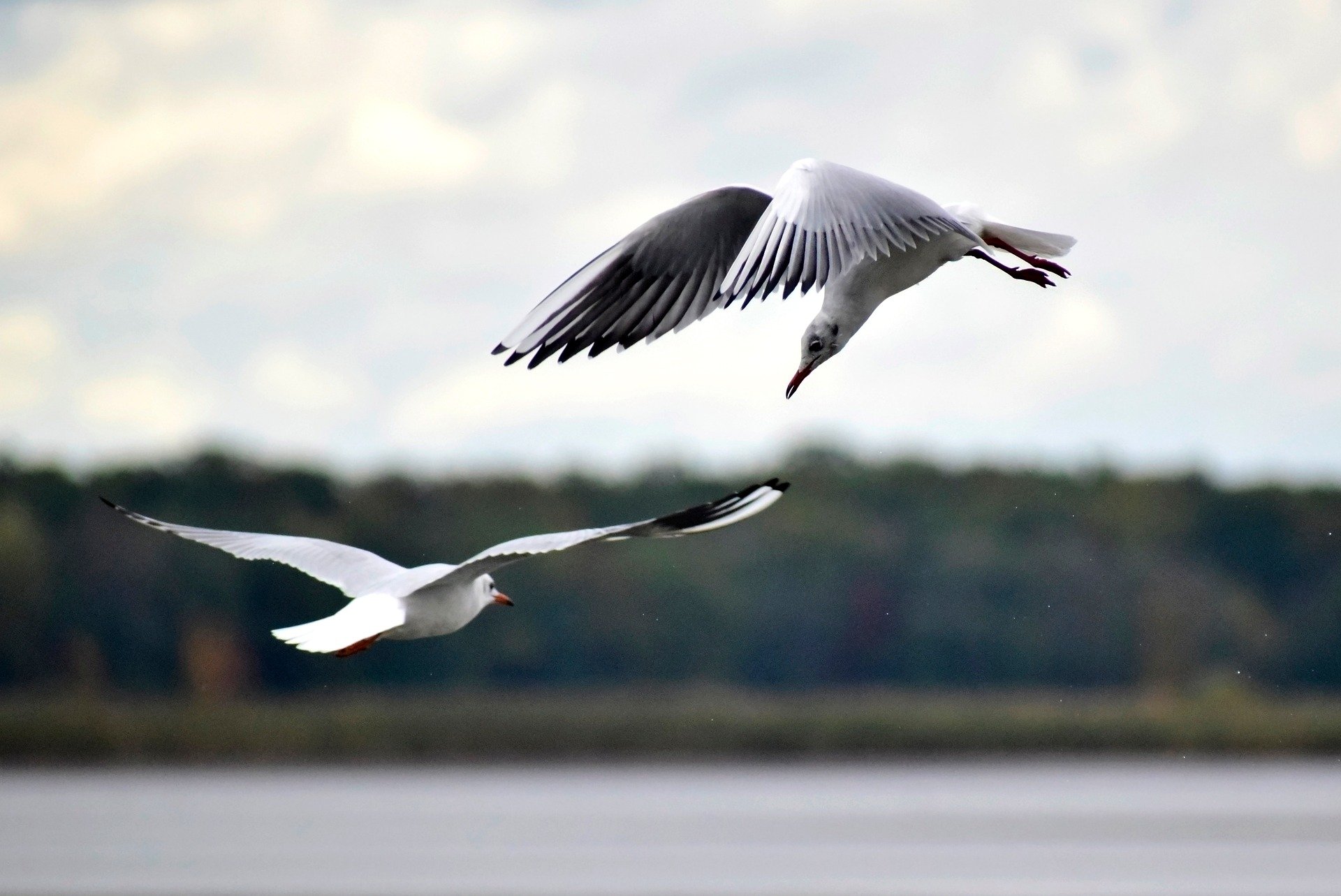 【完全ガイド】VTuberとしてPR案件を成功させる5つのポイント【最新版】